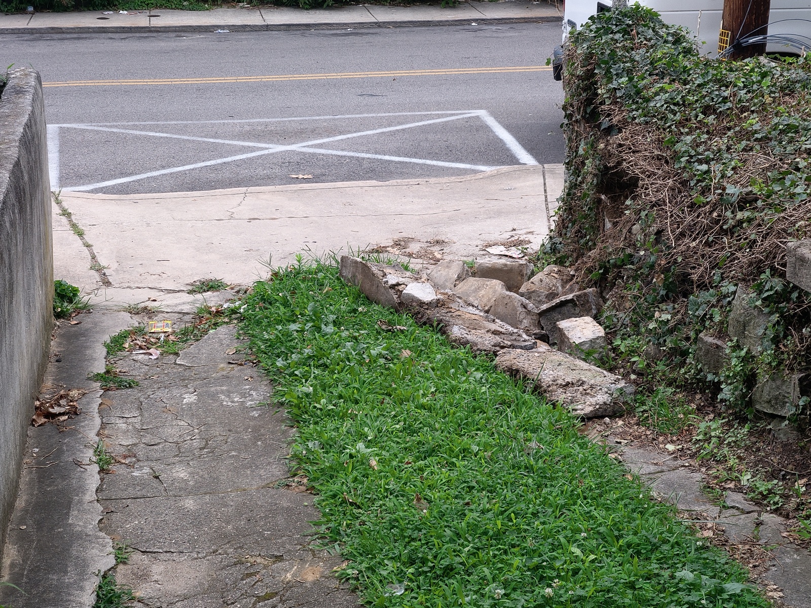 Photographic documentation of the work as submitted to the city's 311 record.
