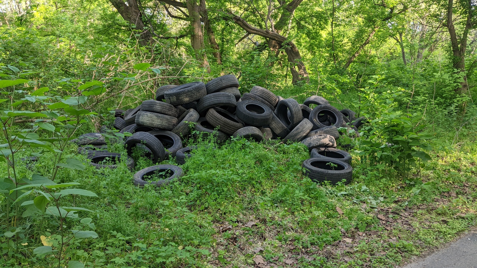 Photographic documentation of the work as submitted to the city's 311 record.