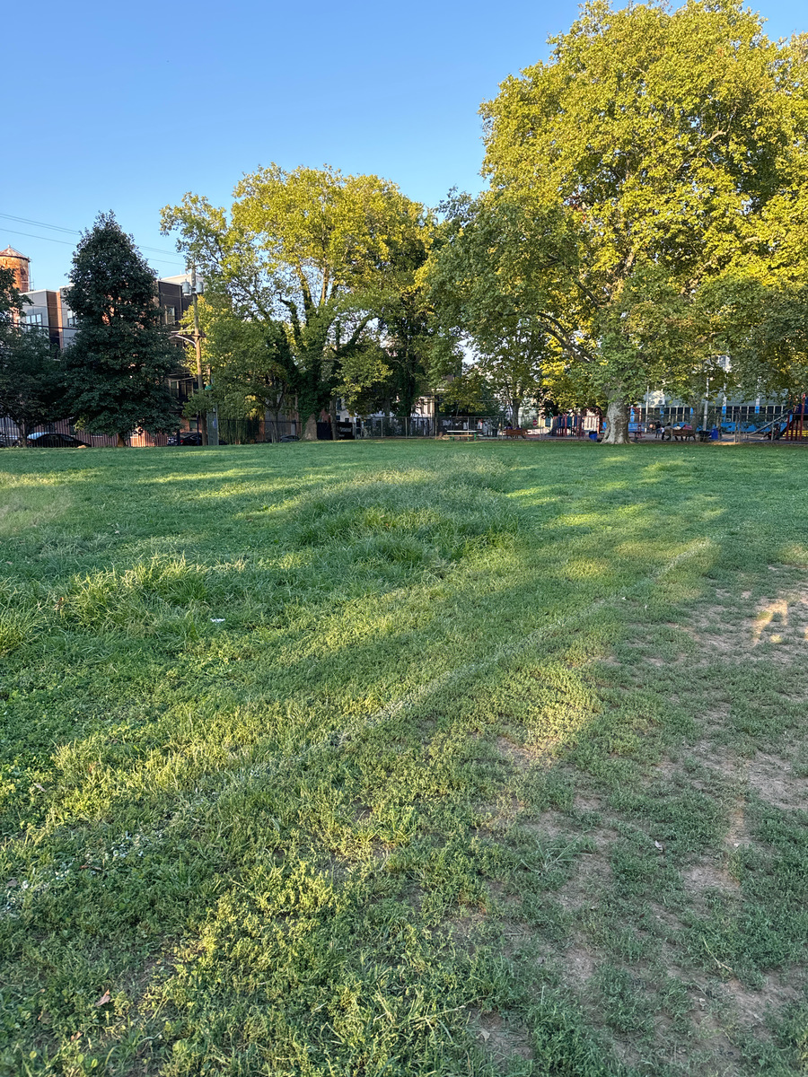 Photographic documentation of the work as submitted to the city's 311 record.