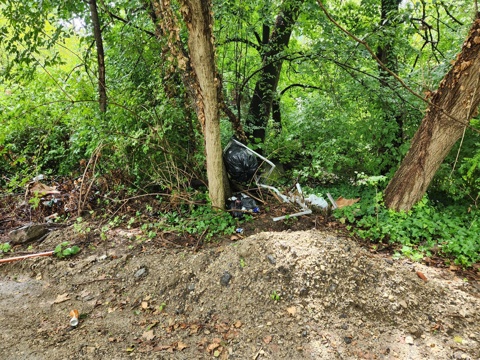 Photographic documentation of the work as submitted to the city's 311 record.
