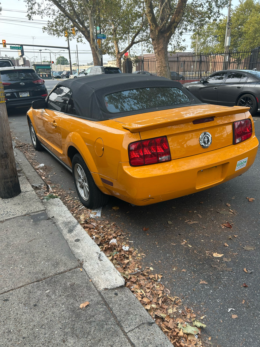 Photographic documentation of the work as submitted to the city's 311 record.