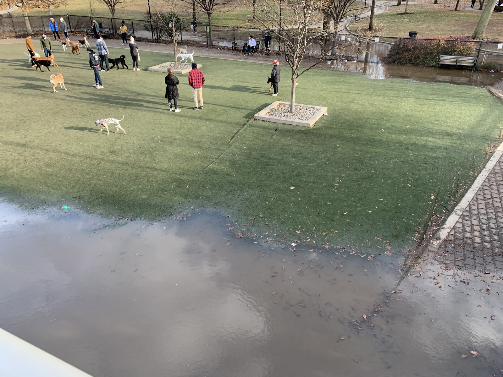 Photographic documentation of the work as submitted to the city's 311 record.