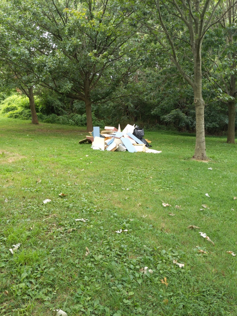 Photographic documentation of the work as submitted to the city's 311 record.