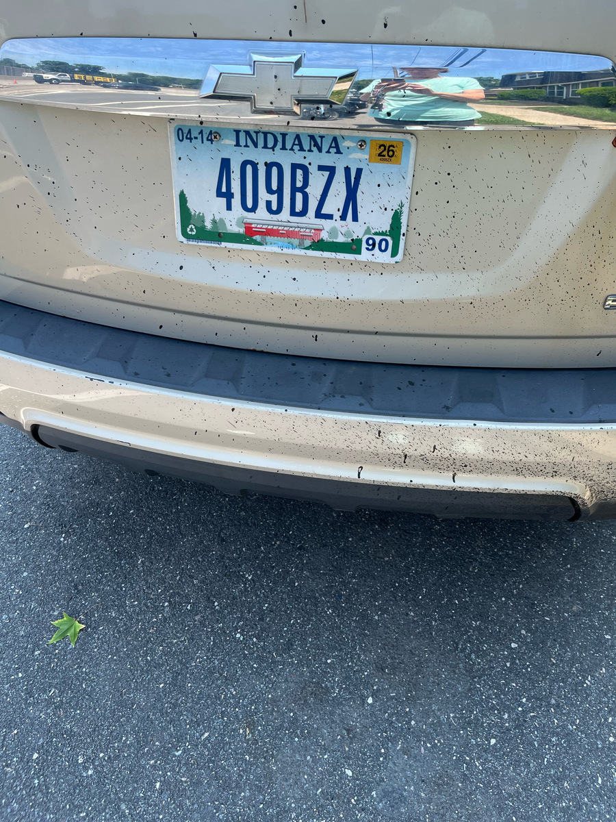 Photographic documentation of the work as submitted to the city's 311 record.