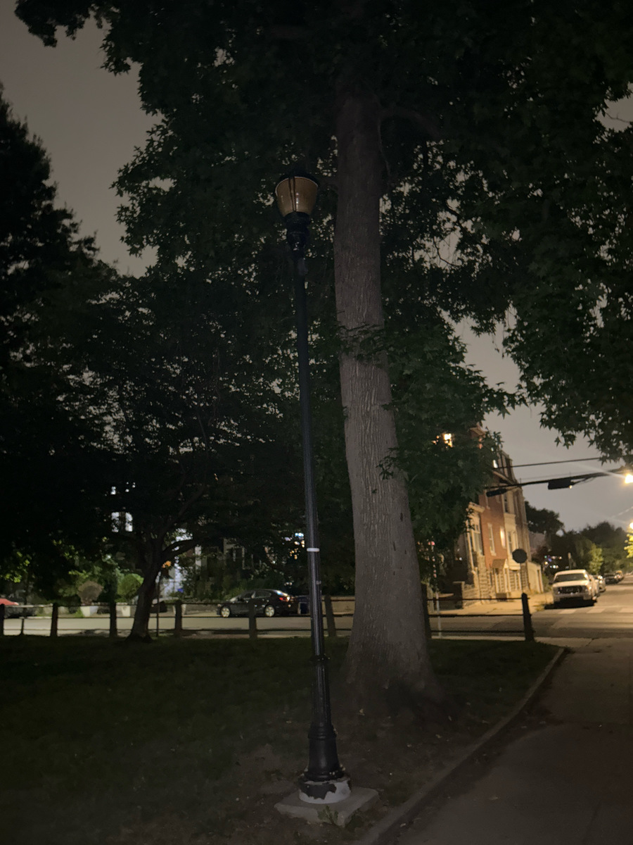 Photographic documentation of the work as submitted to the city's 311 record.