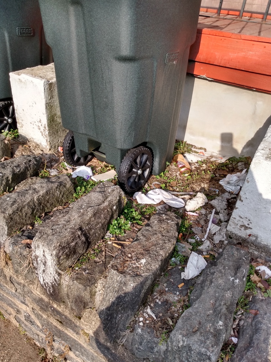 Photographic documentation of the work as submitted to the city's 311 record.