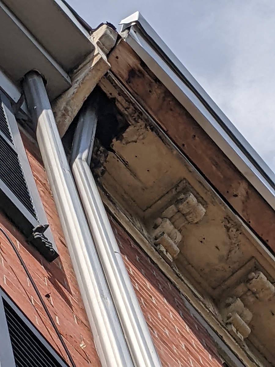 Photographic documentation of the work as submitted to the city's 311 record.