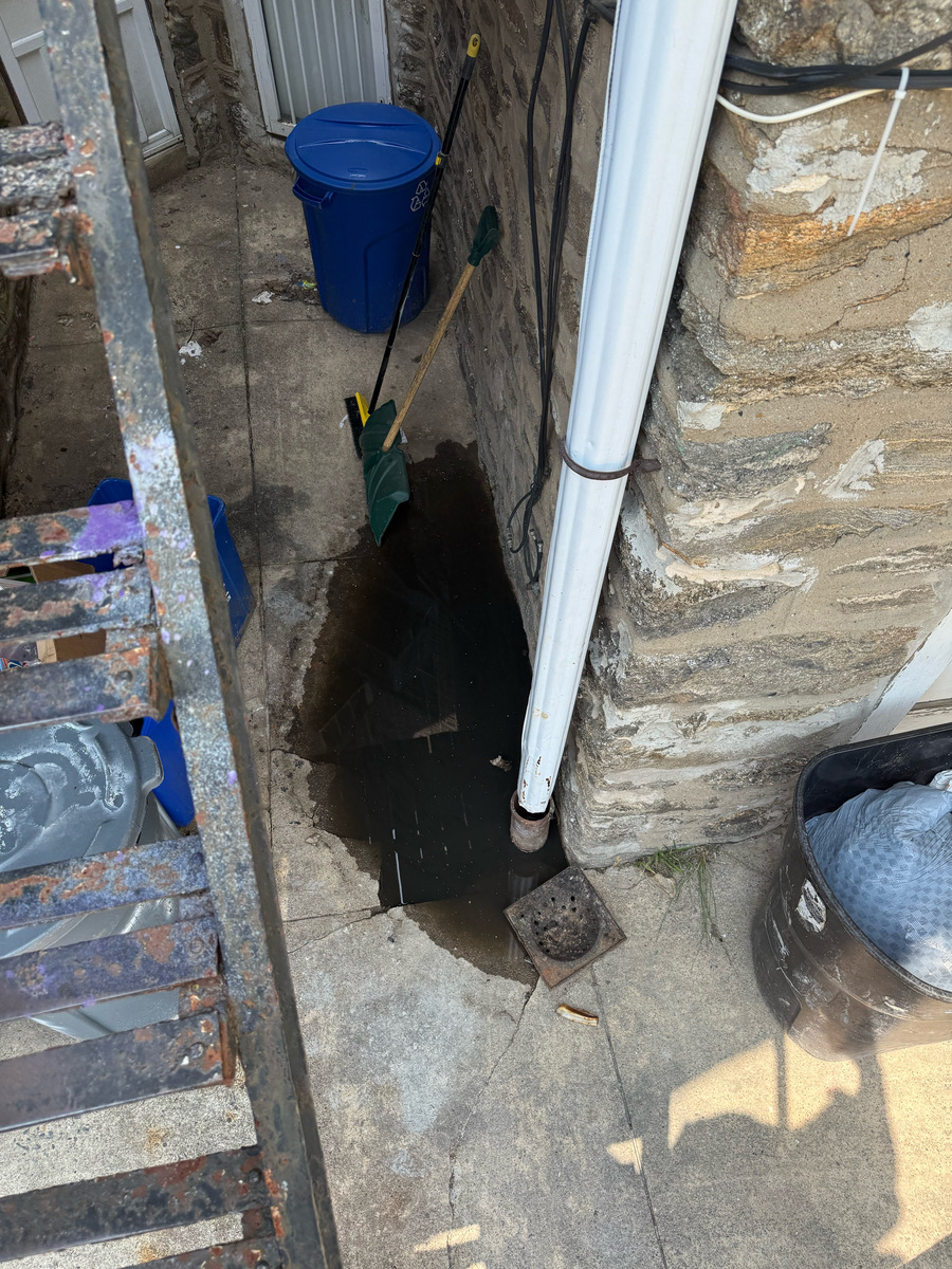 Photographic documentation of the work as submitted to the city's 311 record.