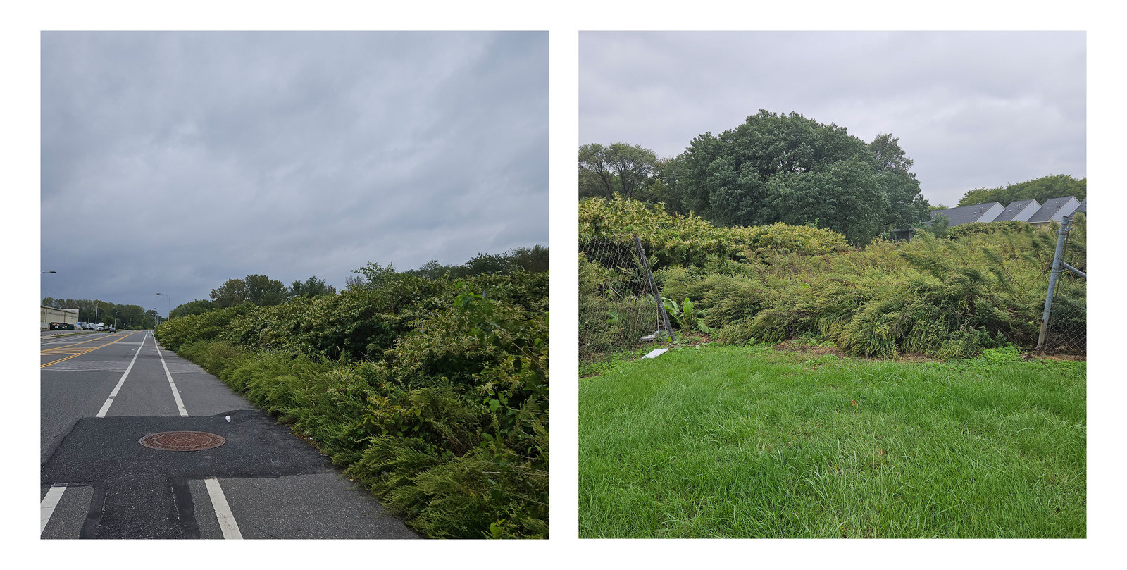 Photographic documentation of the work as submitted to the city's 311 record.