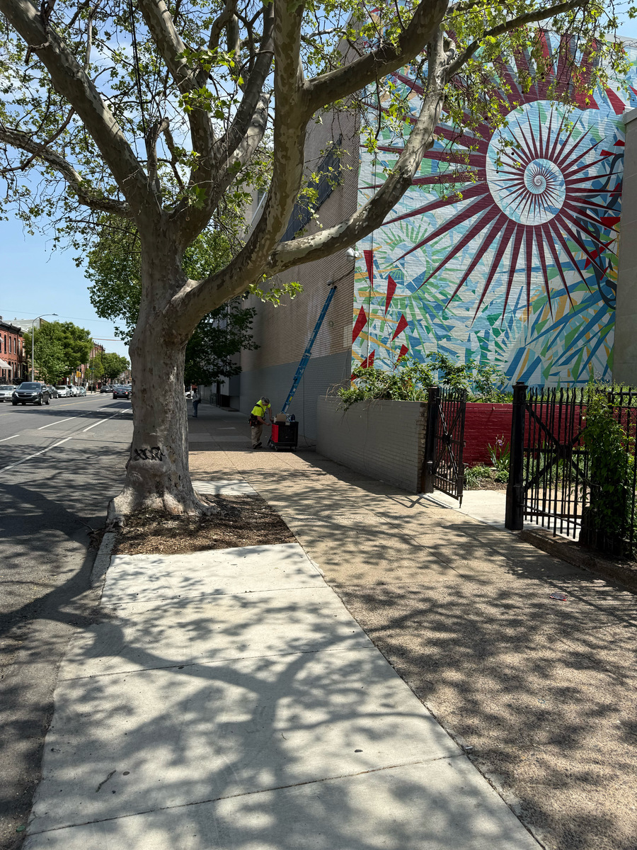Photographic documentation of the work as submitted to the city's 311 record.