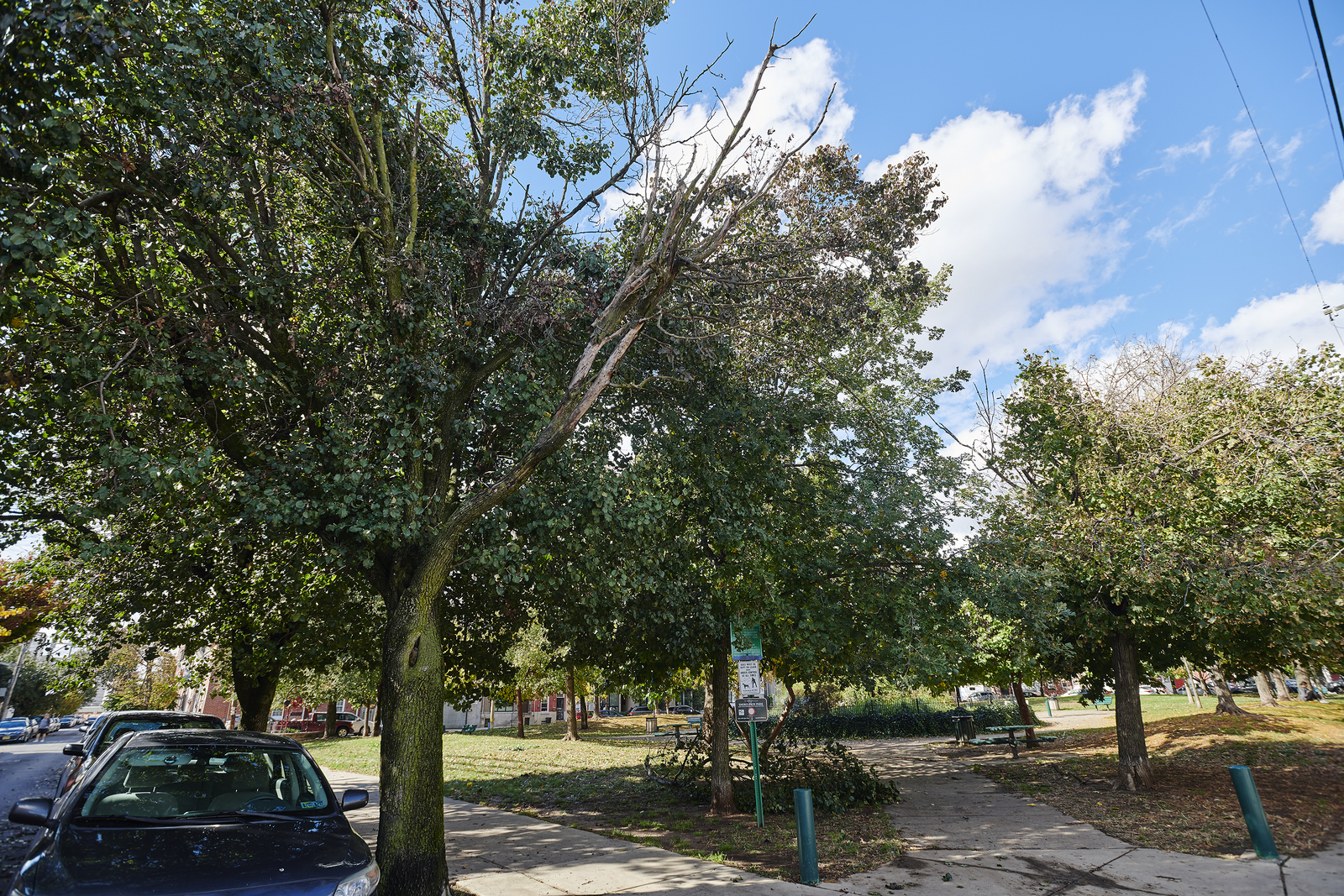 Photographic documentation of the work as submitted to the city's 311 record.