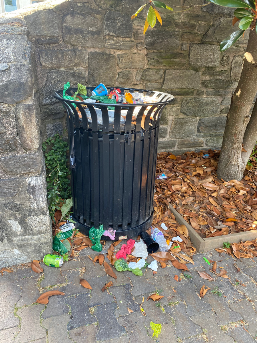 Photographic documentation of the work as submitted to the city's 311 record.