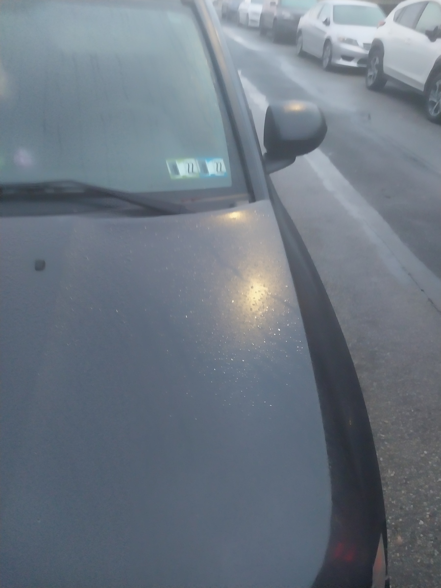 Photographic documentation of the work as submitted to the city's 311 record.