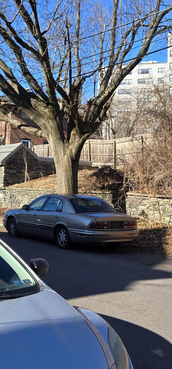 Photographic documentation of the work as submitted to the city's 311 record.