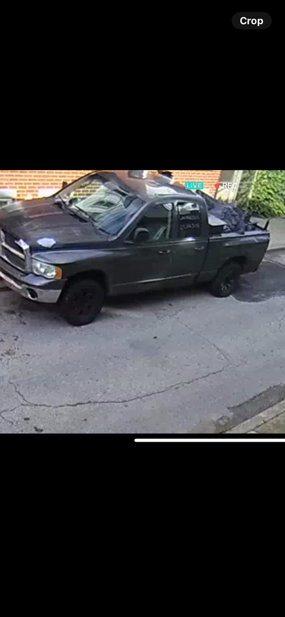 Photographic documentation of the work as submitted to the city's 311 record.