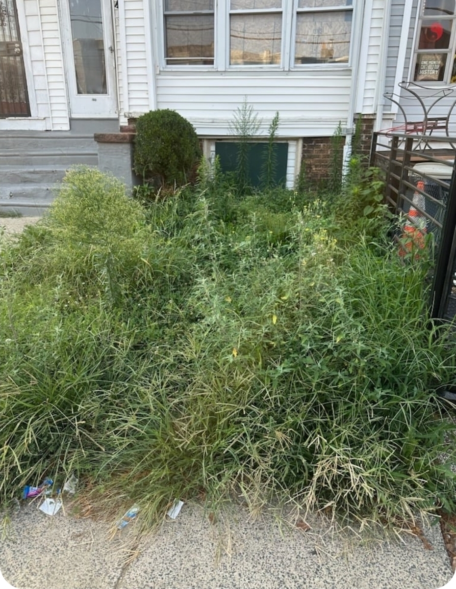 Photographic documentation of the work as submitted to the city's 311 record.