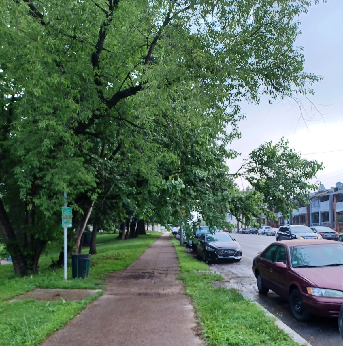 Photographic documentation of the work as submitted to the city's 311 record.