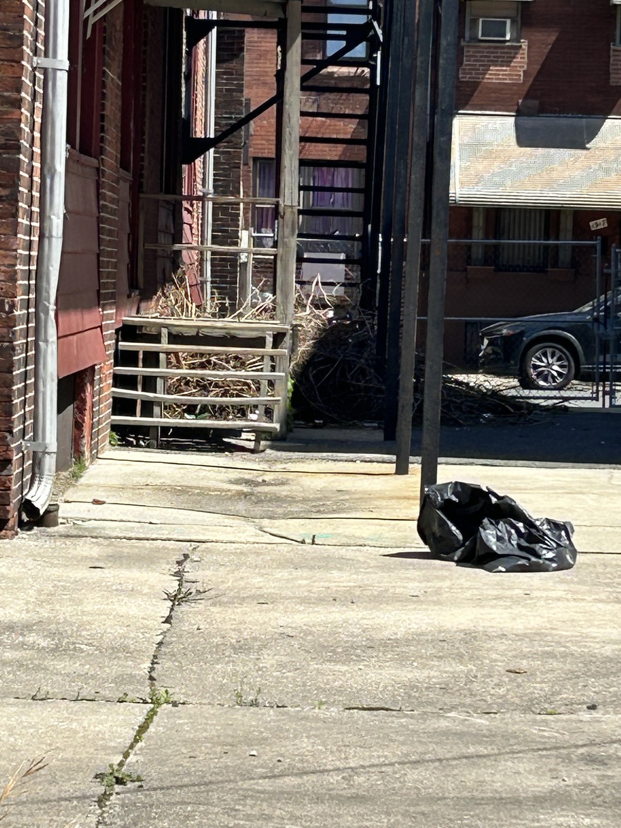 Photographic documentation of the work as submitted to the city's 311 record.