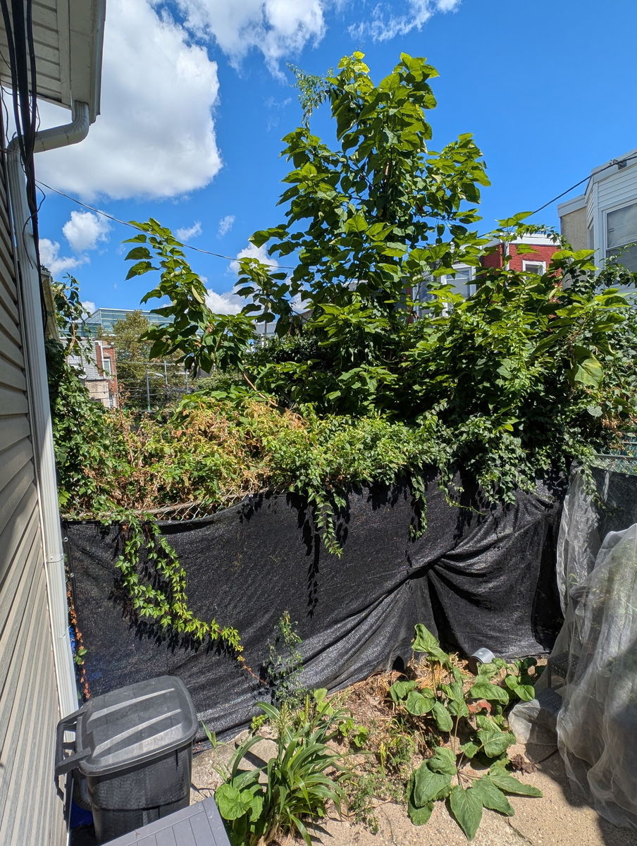 Photographic documentation of the work as submitted to the city's 311 record.