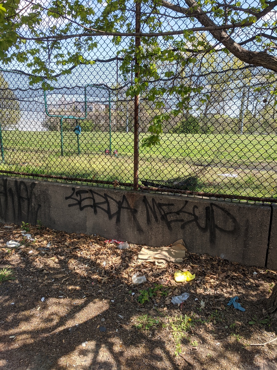 Photographic documentation of the work as submitted to the city's 311 record.