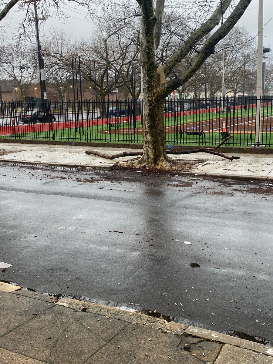 Photographic documentation of the work as submitted to the city's 311 record.