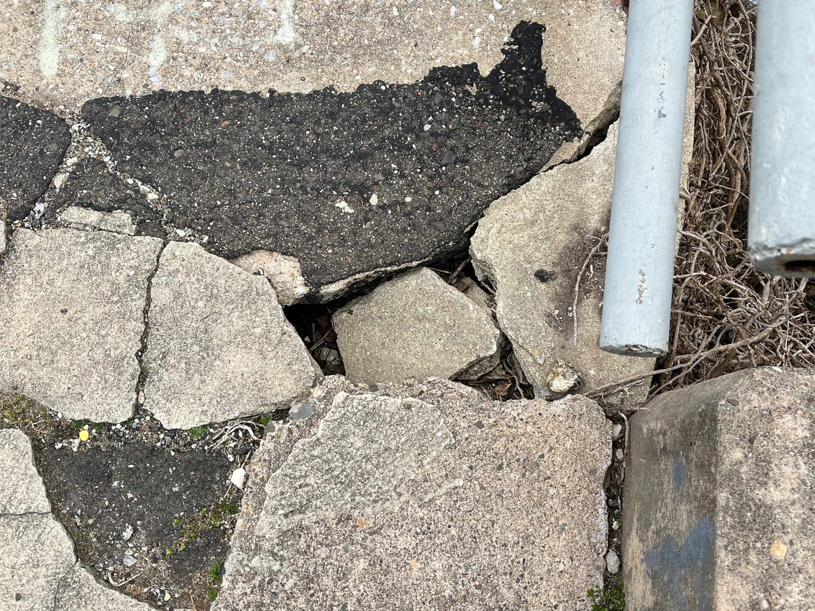 Photographic documentation of the work as submitted to the city's 311 record.