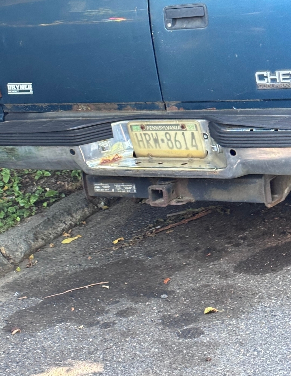 Photographic documentation of the work as submitted to the city's 311 record.