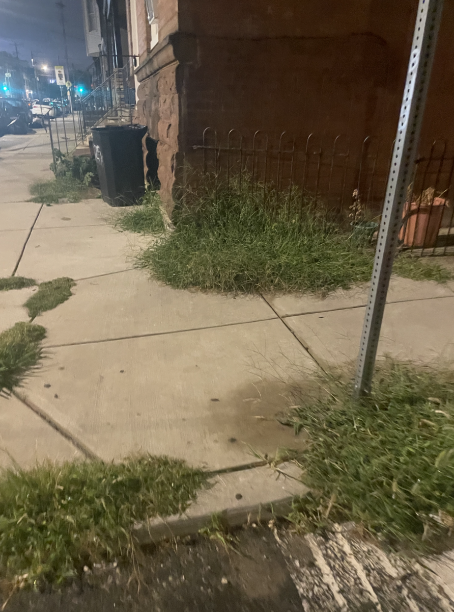 Photographic documentation of the work as submitted to the city's 311 record.