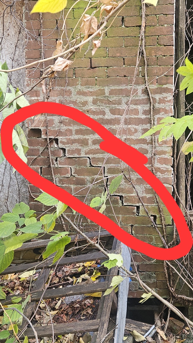 Photographic documentation of the work as submitted to the city's 311 record.