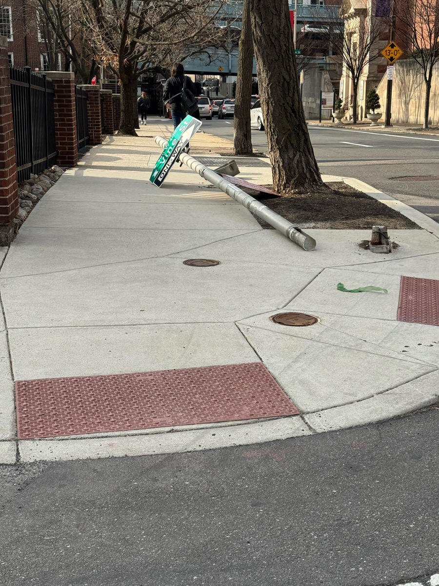 Photographic documentation of the work as submitted to the city's 311 record.