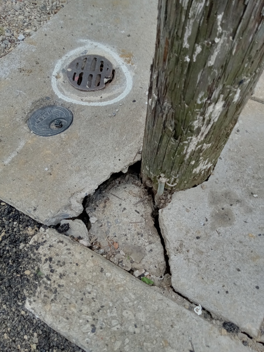 Photographic documentation of the work as submitted to the city's 311 record.
