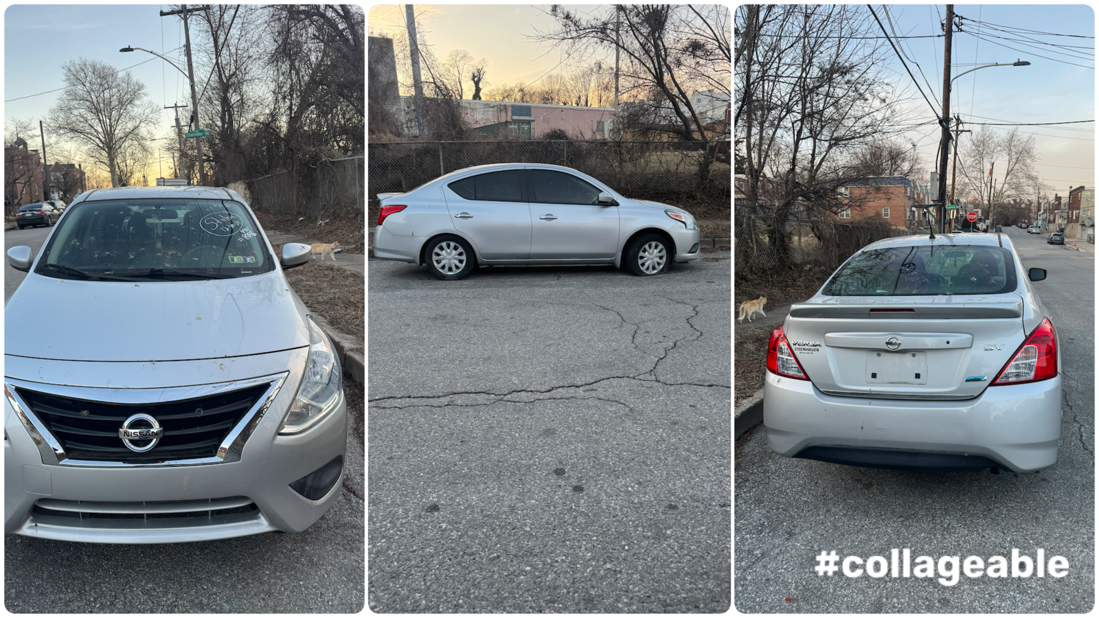 Photographic documentation of the work as submitted to the city's 311 record.