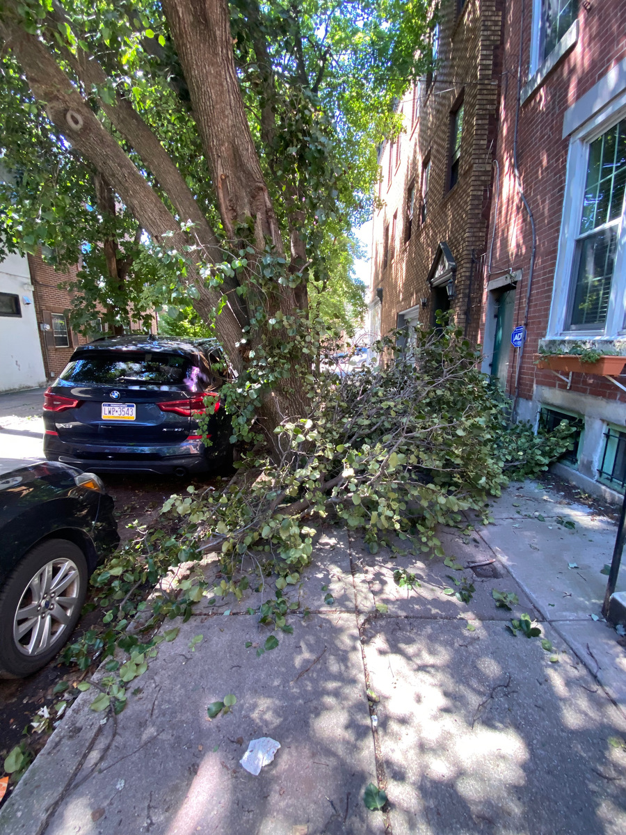 Photographic documentation of the work as submitted to the city's 311 record.