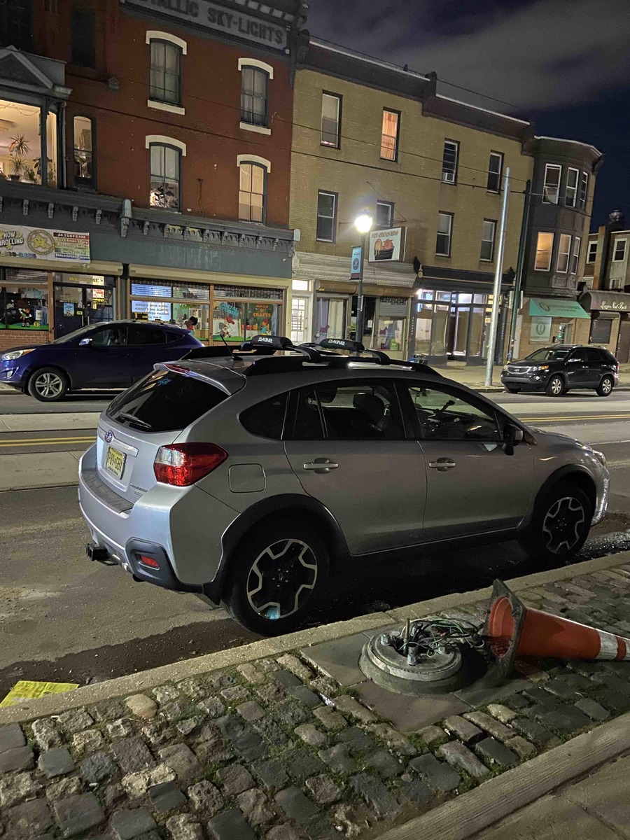 Photographic documentation of the work as submitted to the city's 311 record.