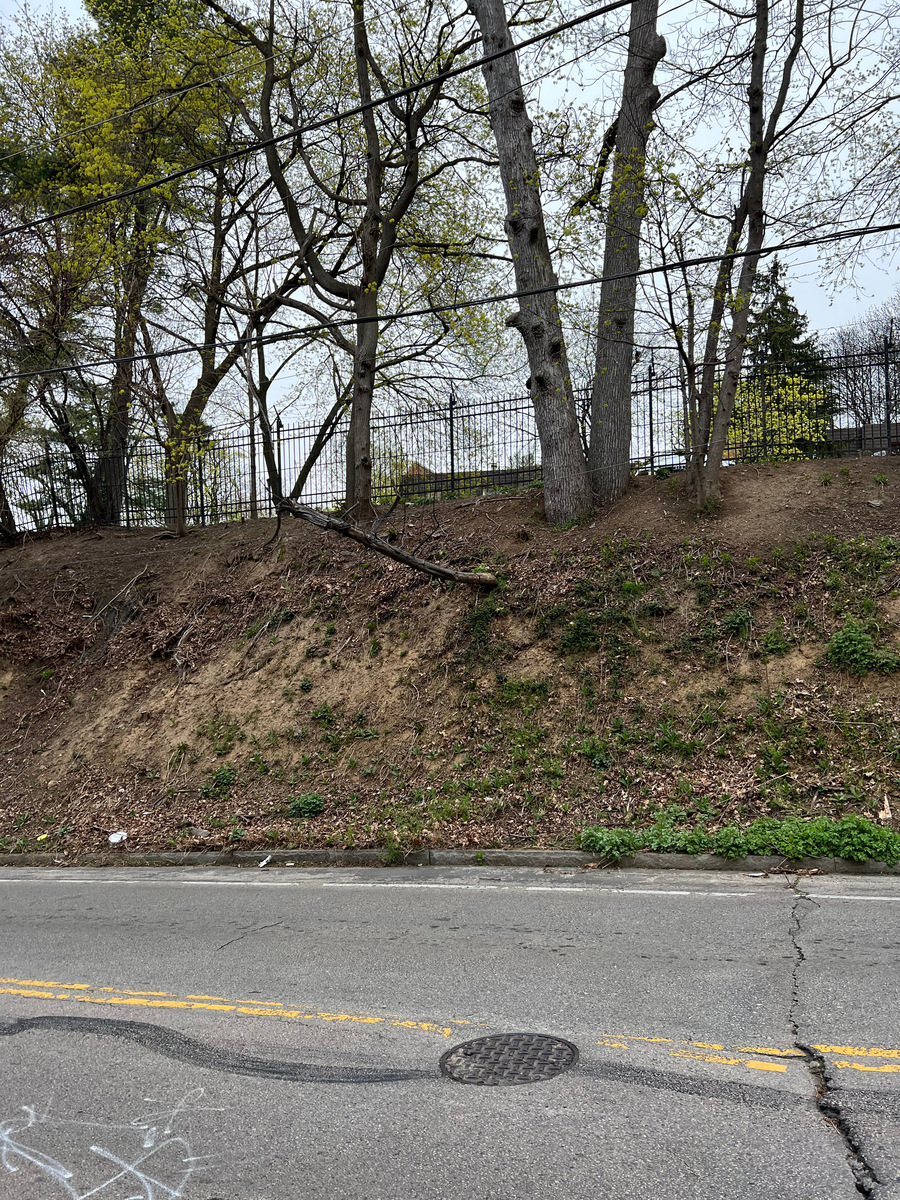 Photographic documentation of the work as submitted to the city's 311 record.