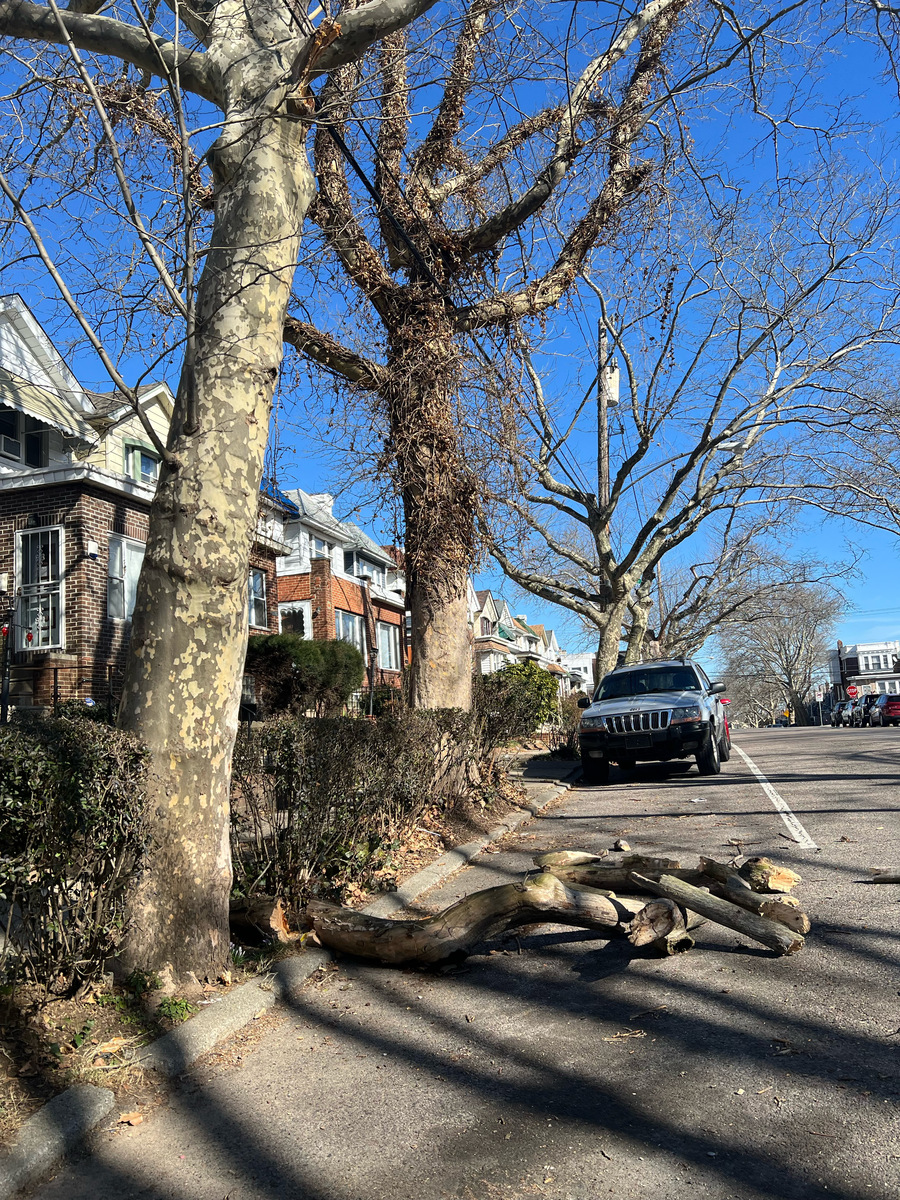 Photographic documentation of the work as submitted to the city's 311 record.