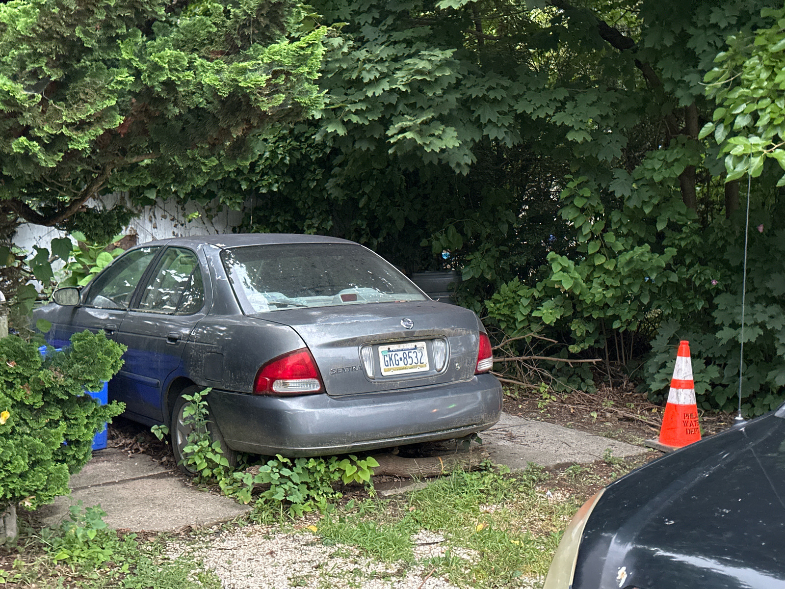 Photographic documentation of the work as submitted to the city's 311 record.