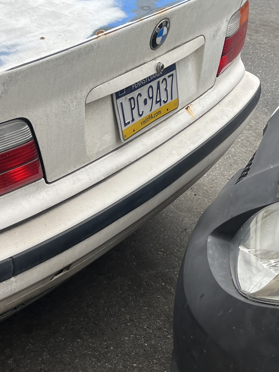 Photographic documentation of the work as submitted to the city's 311 record.