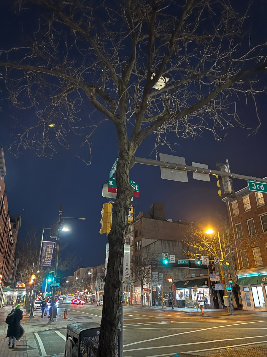 Photographic documentation of the work as submitted to the city's 311 record.