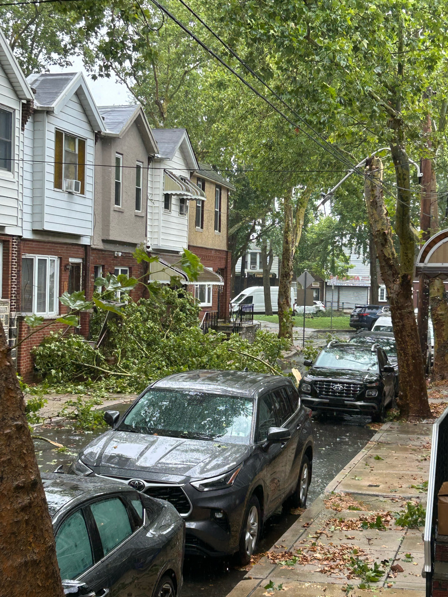 Documentation of Untitled (Streetlight Absence (Nocturne)) — Girard Estates, as submitted to Philadelphia 311.