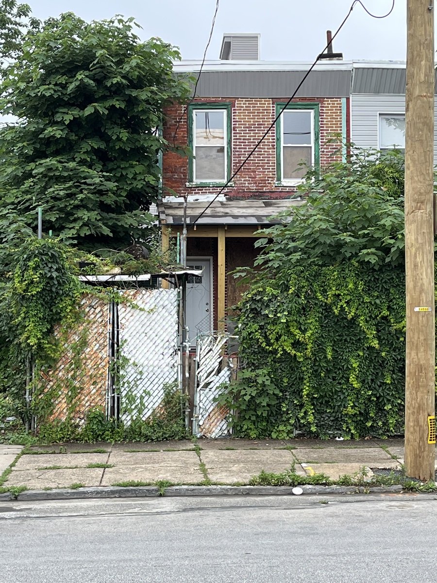 Photographic documentation of the work as submitted to the city's 311 record.