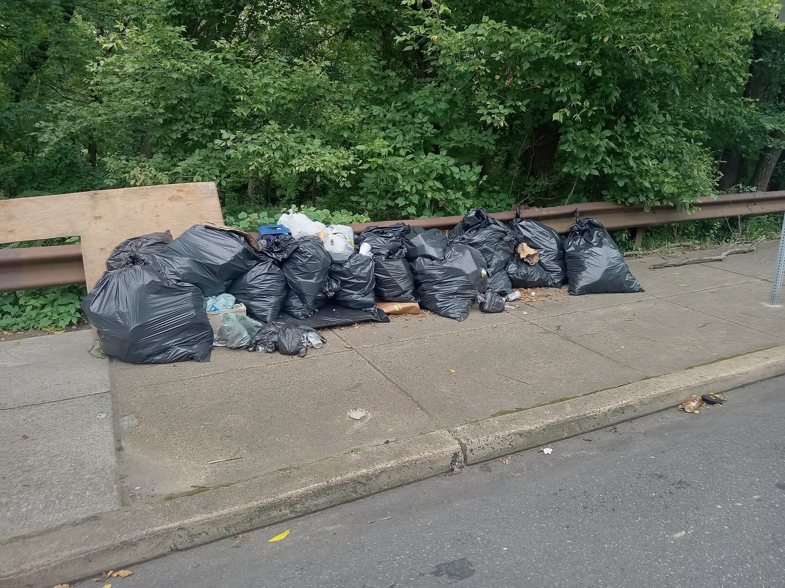 Photographic documentation of the work as submitted to the city's 311 record.