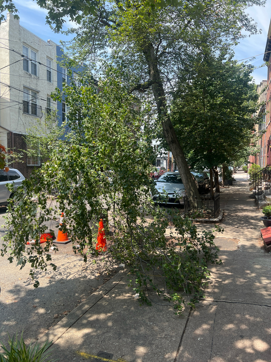 Photographic documentation of the work as submitted to the city's 311 record.