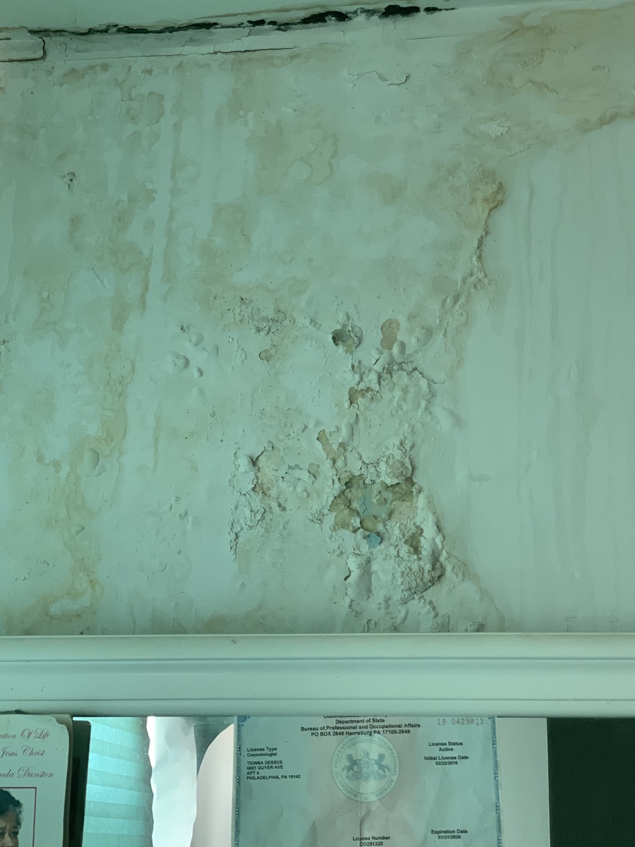 Photographic documentation of the work as submitted to the city's 311 record.