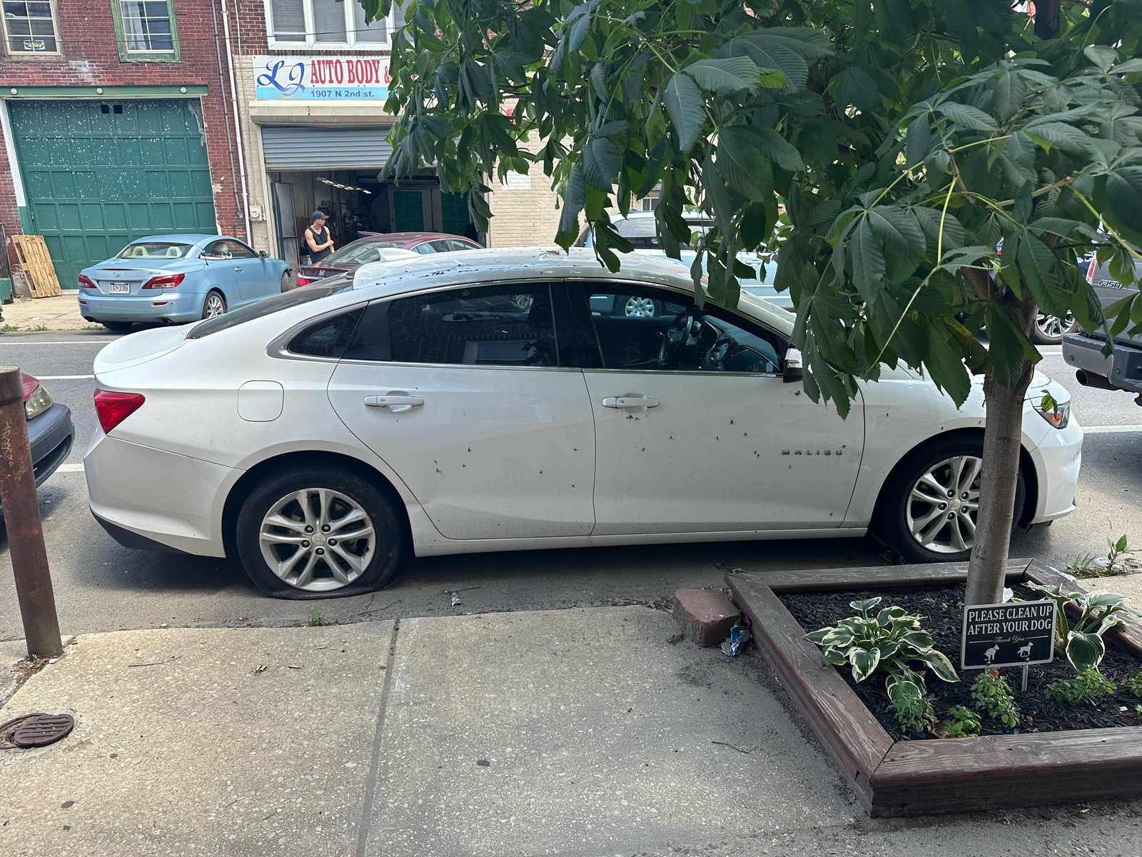 Photographic documentation of the work as submitted to the city's 311 record.