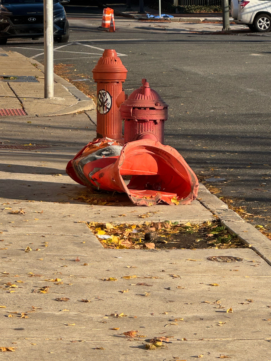 Photographic documentation of the work as submitted to the city's 311 record.