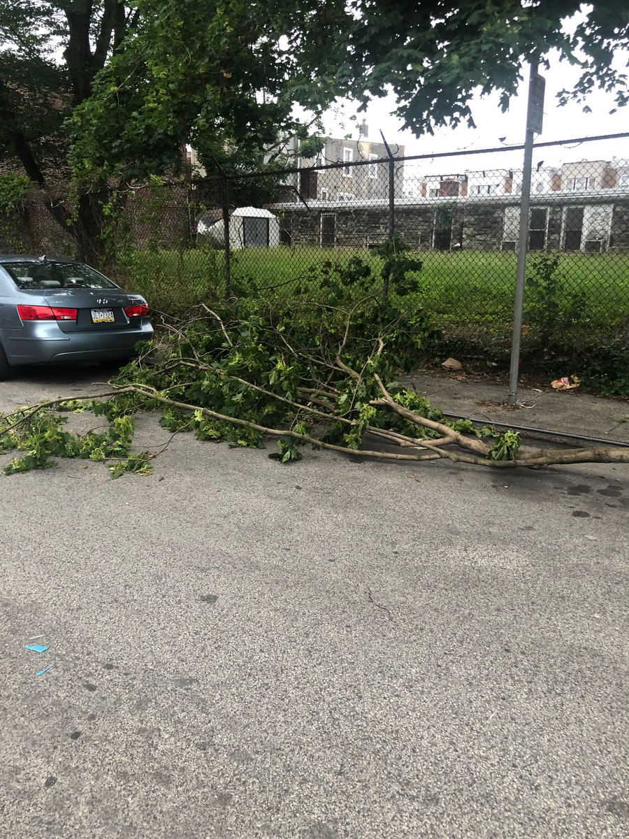 Photographic documentation of the work as submitted to the city's 311 record.