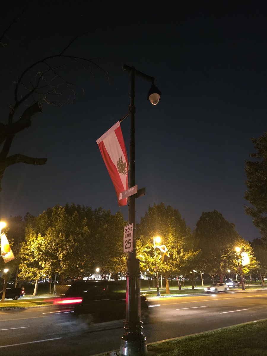 Photographic documentation of the work as submitted to the city's 311 record.