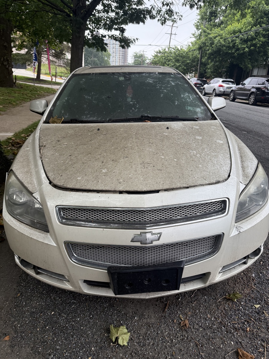 Photographic documentation of the work as submitted to the city's 311 record.