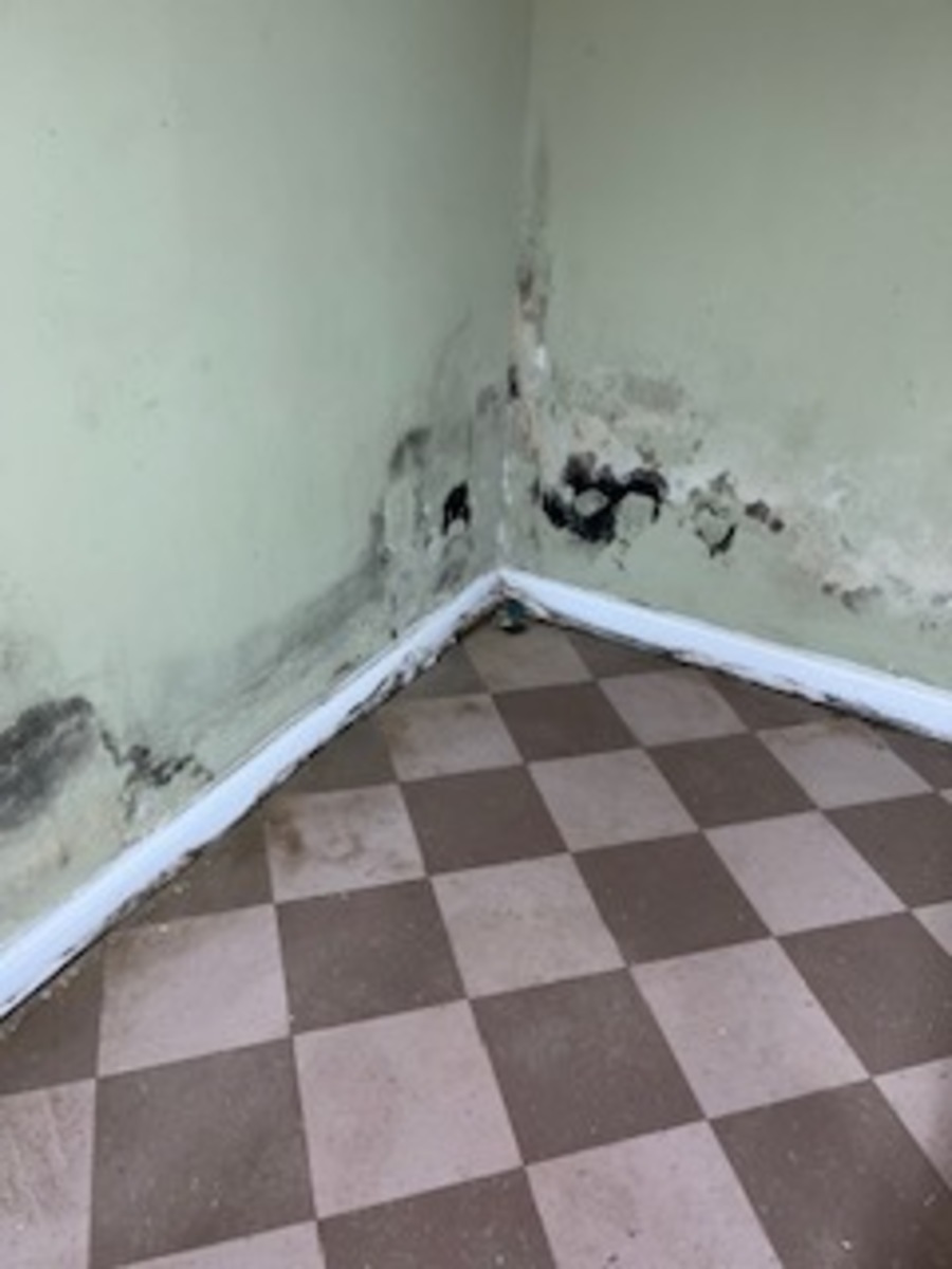 Photographic documentation of the work as submitted to the city's 311 record.